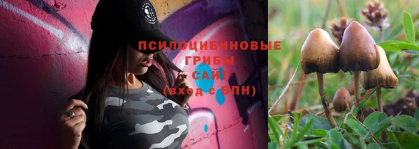 a pvp Мегион