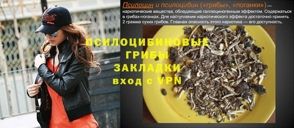 прущая мука Михайлов