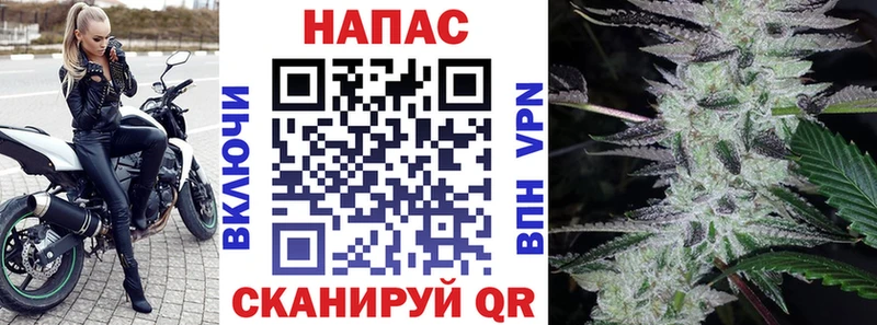 Конопля план  Нижняя Тура 